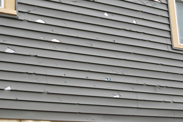 Affordable Siding Repair and Maintenance Services in Raubsville, PA